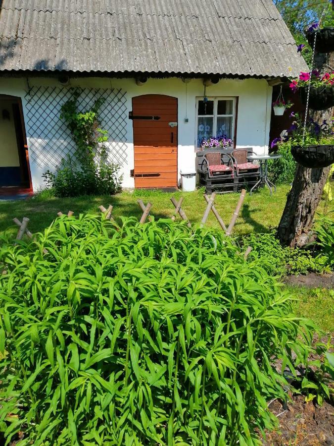 Searooms Lapmežciems Eksteriør billede